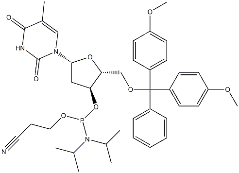 5' - （4,4' -二甲氧基三苯基） - 3' -脱氧胸苷2' - （2 -氰乙基- N、N-二异丙基）亚磷酰胺