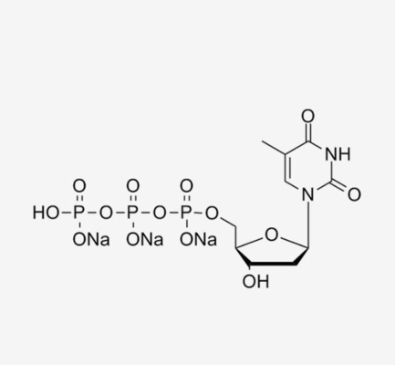 DTTP Deoxythymidineの三リン酸塩100mMの解決2' - Deoxythymidine 5'三リン酸塩CAS 18423-43-3