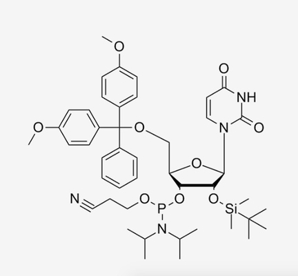 HUANA -2'-O-TBDMS-U-CE-RNA ホスホラミダイトs CAS 118362-03-1 C45H61N4O9PSi