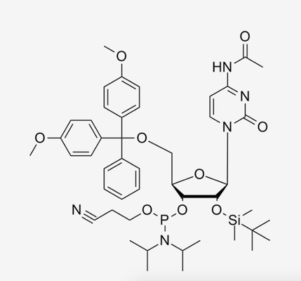 注文-2'-O-TBDMS-C （AC） -セリウムホスホラミダイトのRNAのオリゴヌクレオチドOligos C47H64N5O9PSi CAS 121058-88-6