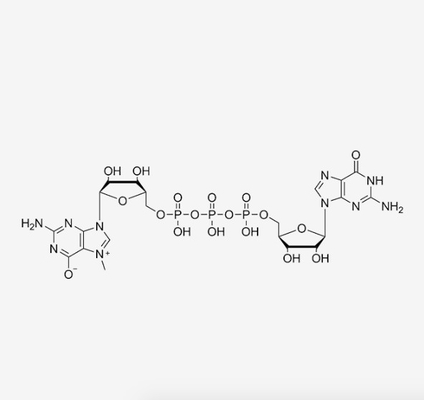 M7 GpppGの帽子のアナログのN7メチル グアノシン5'三リン酸塩5'グアノシンC21H29N10O17P3