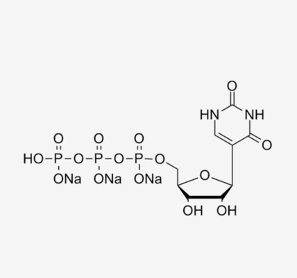 PUTP 100mMの解決mRNAのワクチン接種の原料Pseudouridine 5' -三リン酸塩CAS 1175-34-4