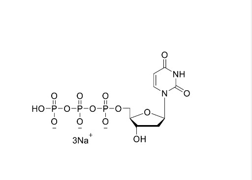 DUTP デオキシヌクレオチド 2'-デオキシユリジン-5'-トリフォスファート 塩溶液