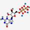 DATP.Na3 2' - デオキシアデノシン 5'三リン酸塩ナトリウムの塩水濃度CAS 1927-31-7年