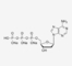 dATP Solution/2' デオキシアデノシン5' Triphosphate/HPLC≥99%/CAS 100つのmMのいいえ:1927-31-7/Brand:HUANA