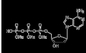 Dntpの組合せ100mm Cas 1927-31-7年のHuana Datp デオキシヌクレオチドsの水溶液